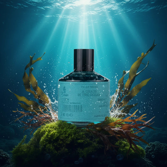 A Chaos In The Ocean - Paris Corner - Decant Sample - Arometry.com