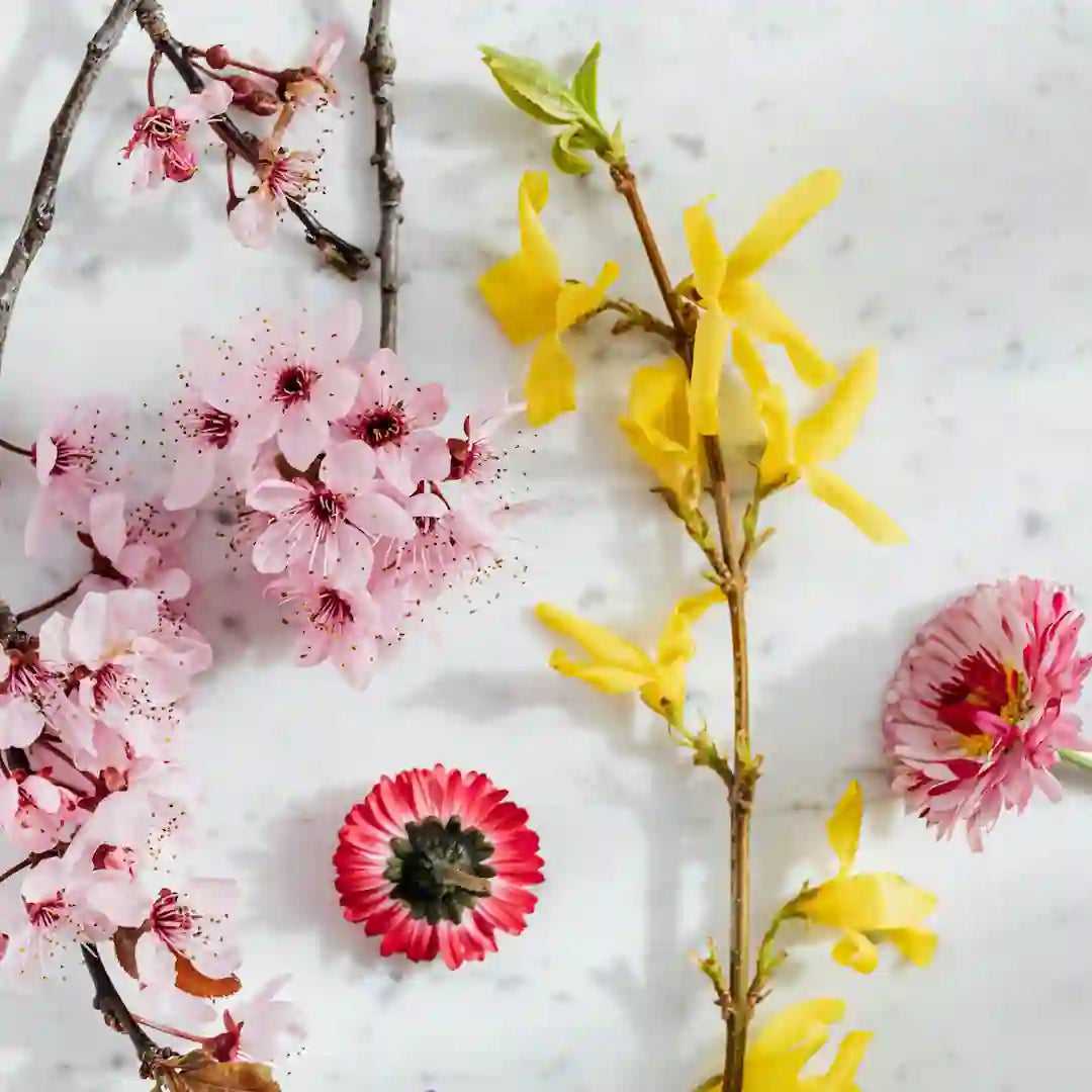 Floral and Romantic Scent Samples